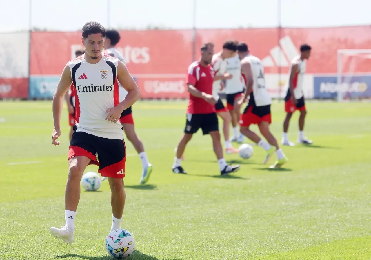 Ivanovic pode estar de saída da Luz